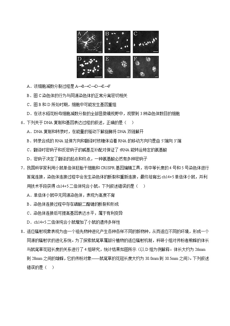 2025年普通高等学校招生全国统一考试适应性测试生物试卷01（含答案解析）第3页