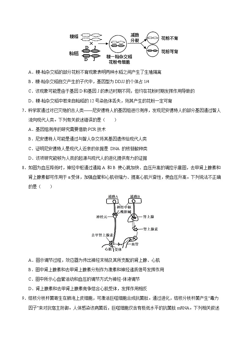 2025年普通高等学校招生全国统一考试适应性测试生物试卷02（含答案解析）第3页
