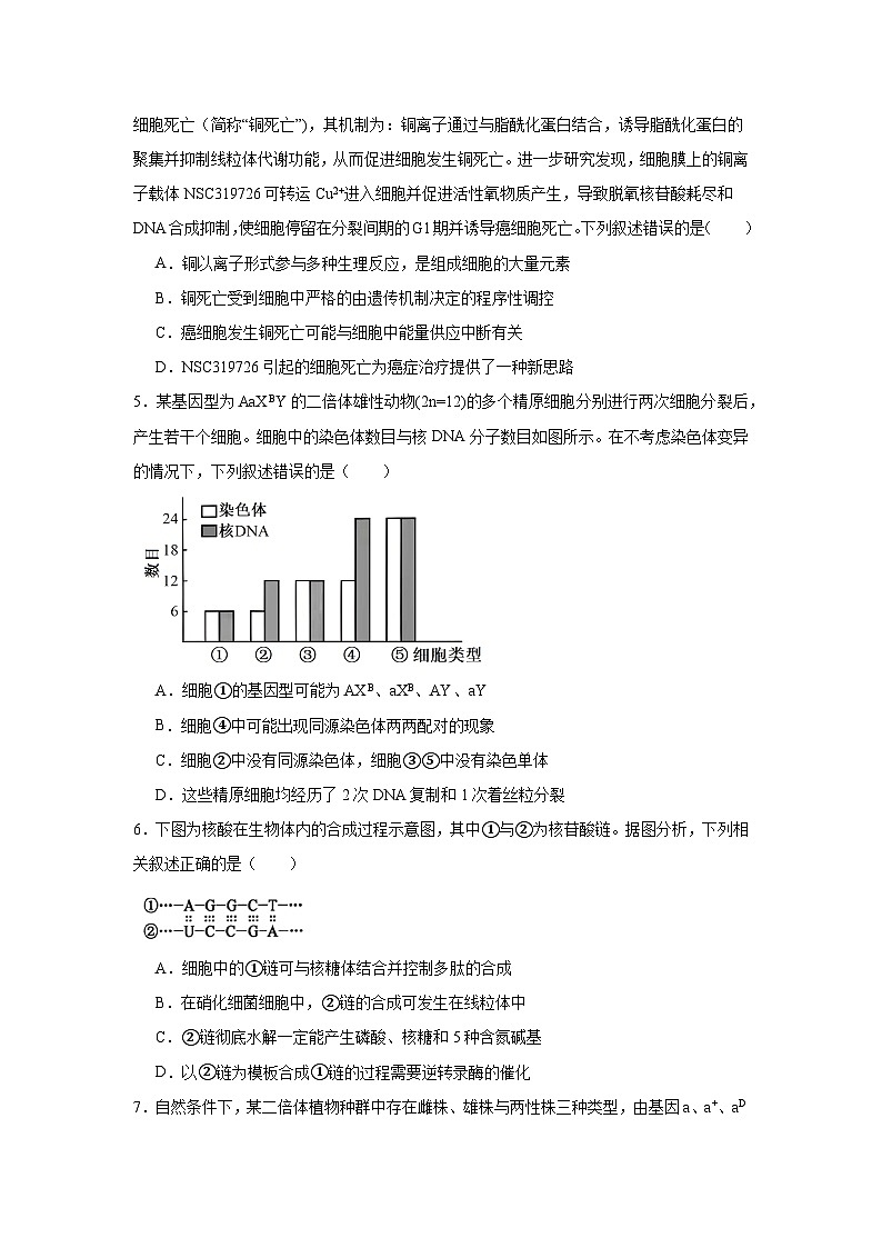 2025届河南省部分重点高中高三12月联考模拟预测生物试题第2页