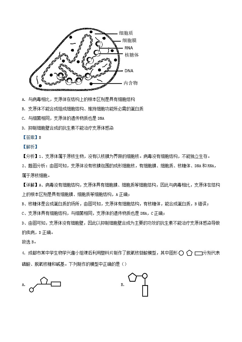 四川省内江市隆昌市2023_2024学年高一生物上学期期末模拟试题含解析第3页