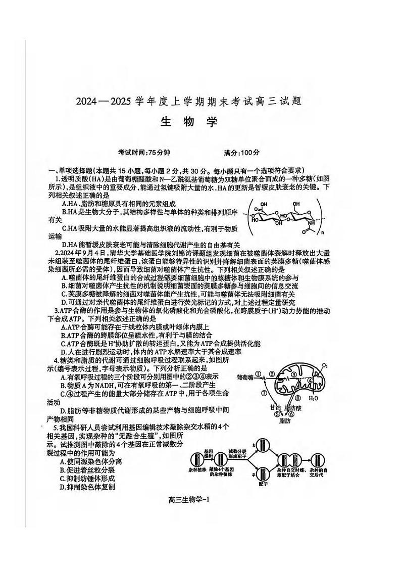 生物丨辽宁省协作体2025届高三1月期末考试生物试卷及答案第1页