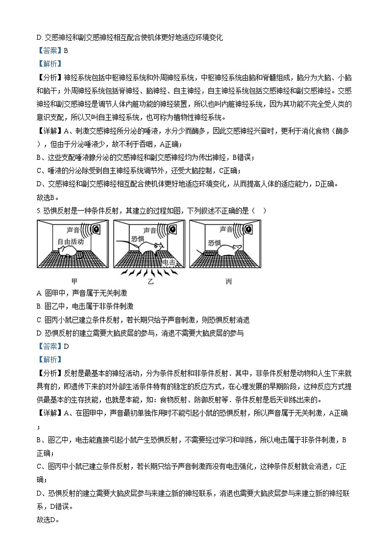 北京市海淀区北京理工大学附属中学2024-2025学年高二上学期12月月考生物试题  Word版含解析第3页