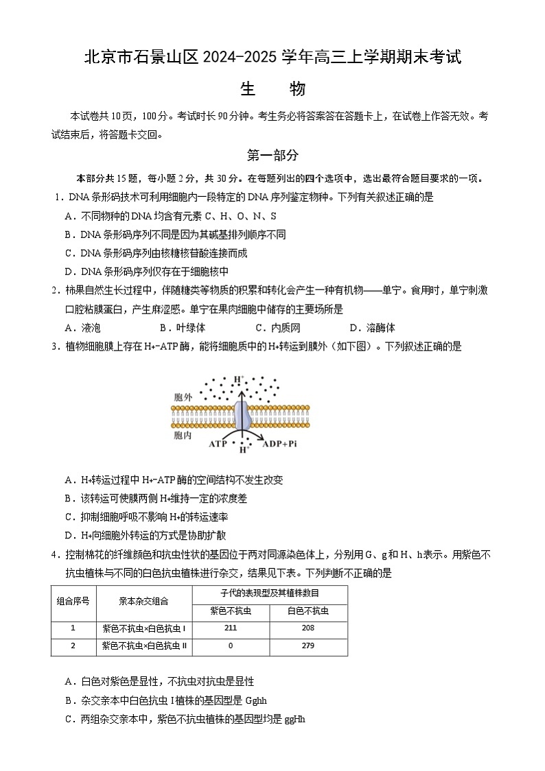 北京市石景山区2024-2025学年高三上学期期末考试生物试卷（Word版附答案）第1页