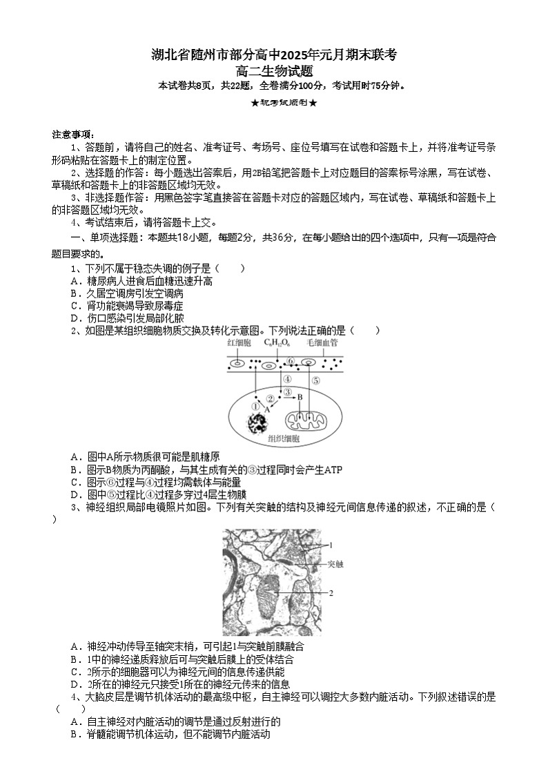 湖北省随州市部分高中2024-2025学年高二上学期1月期末联考生物试题第1页