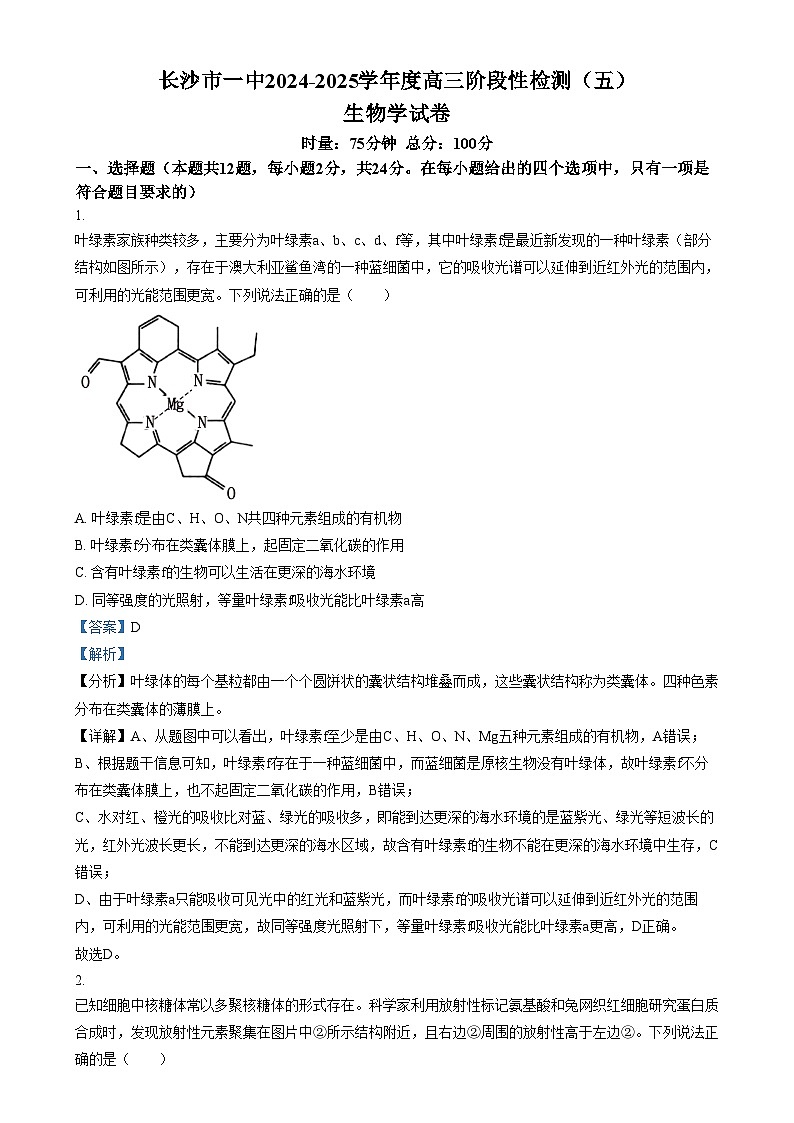湖南省长沙市第一中学2024-2025学年高三上学期阶段性检测（五）生物试卷（Word版附解析）第1页