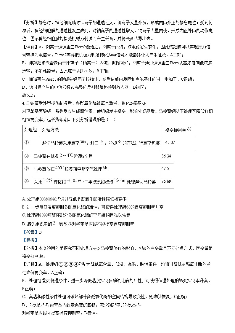 湖南省长沙市第一中学2024-2025学年高三上学期阶段性检测（五）生物试卷（Word版附解析）第3页