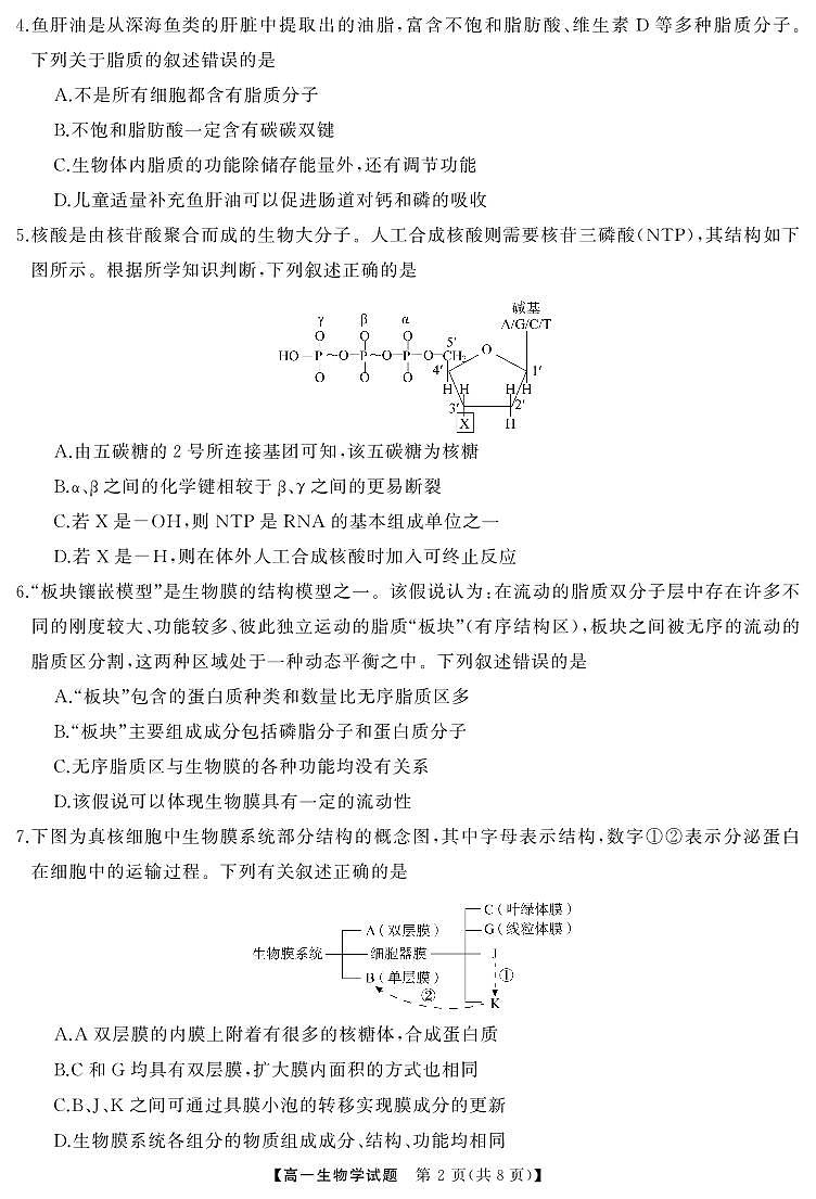 常德高一  生物（试题）转曲4第2页
