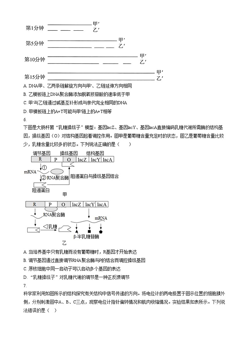 湖南省长沙市第一中学2024-2025学年高三上学期阶段性检测（五）生物试卷（Word版附答案）第3页