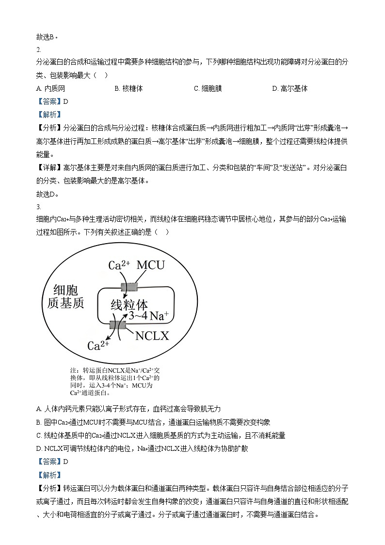 四川省南充市西充中学2024-2025学年高三上学期适应性考试生物试卷（Word版附解析）第2页