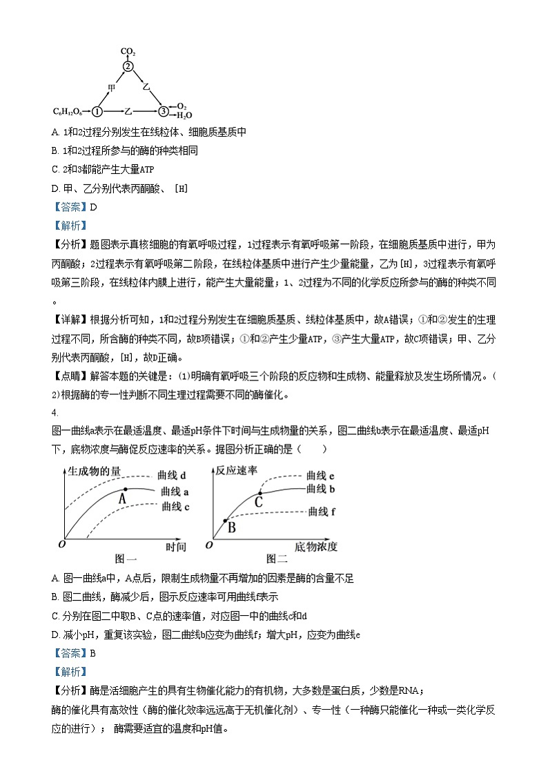 重庆市南开中学2023-2024学年高一上学期期末达标检测试生物试卷（Word版附解析）第2页