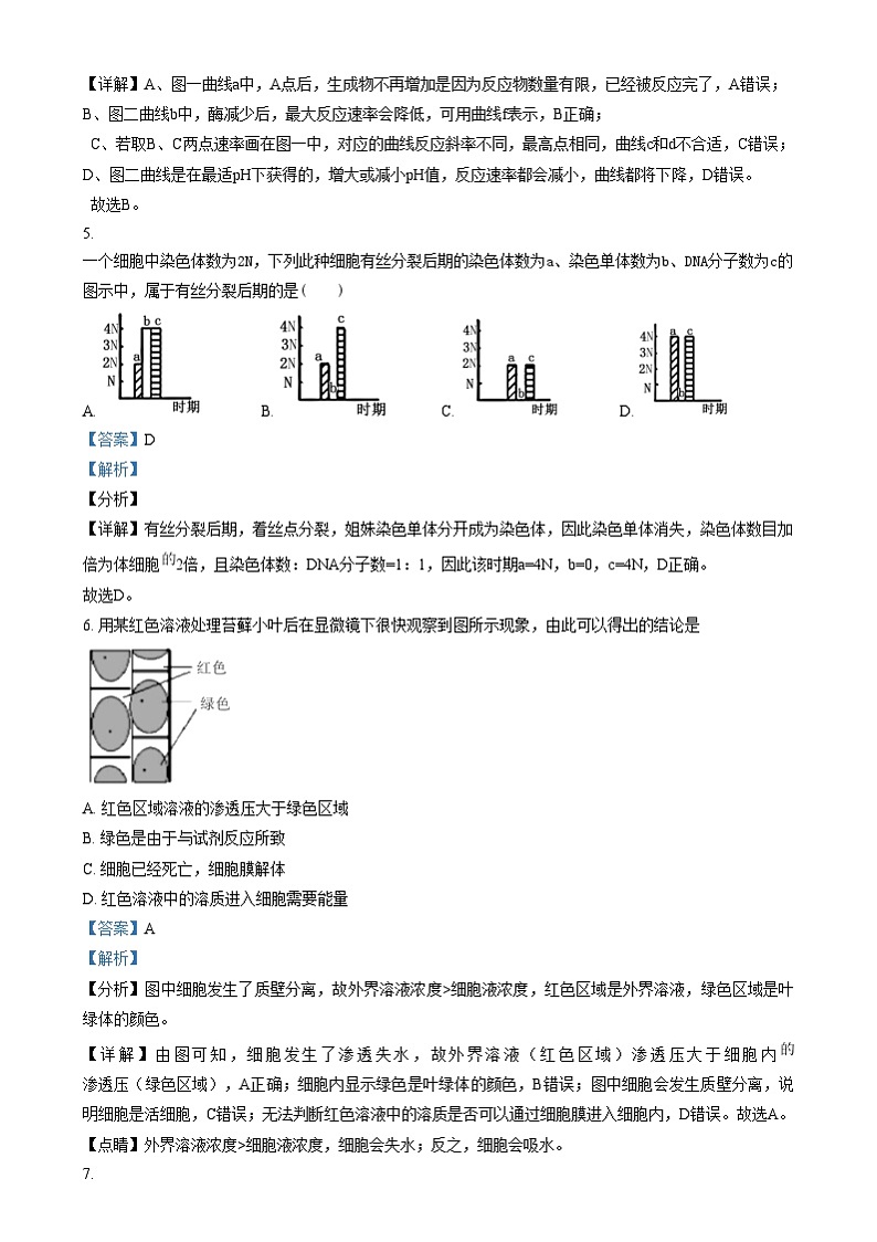 重庆市南开中学2023-2024学年高一上学期期末达标检测试生物试卷（Word版附解析）第3页