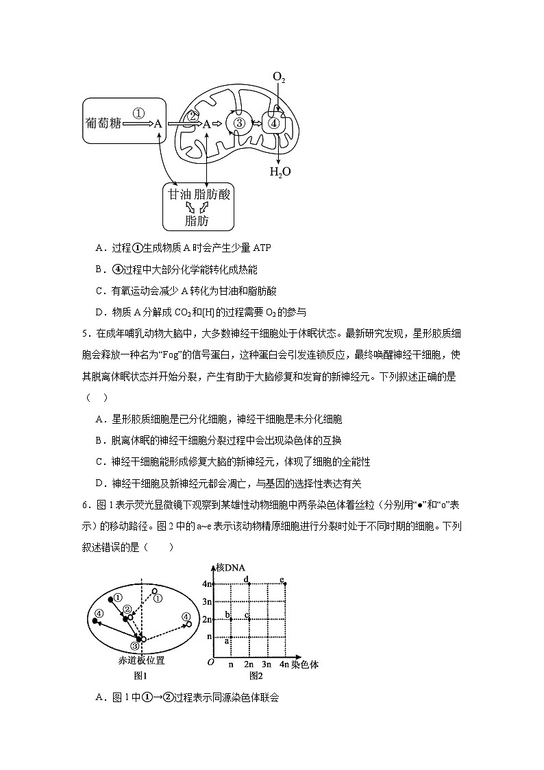 2025届陕西省渭南市高三一模生物试题第2页