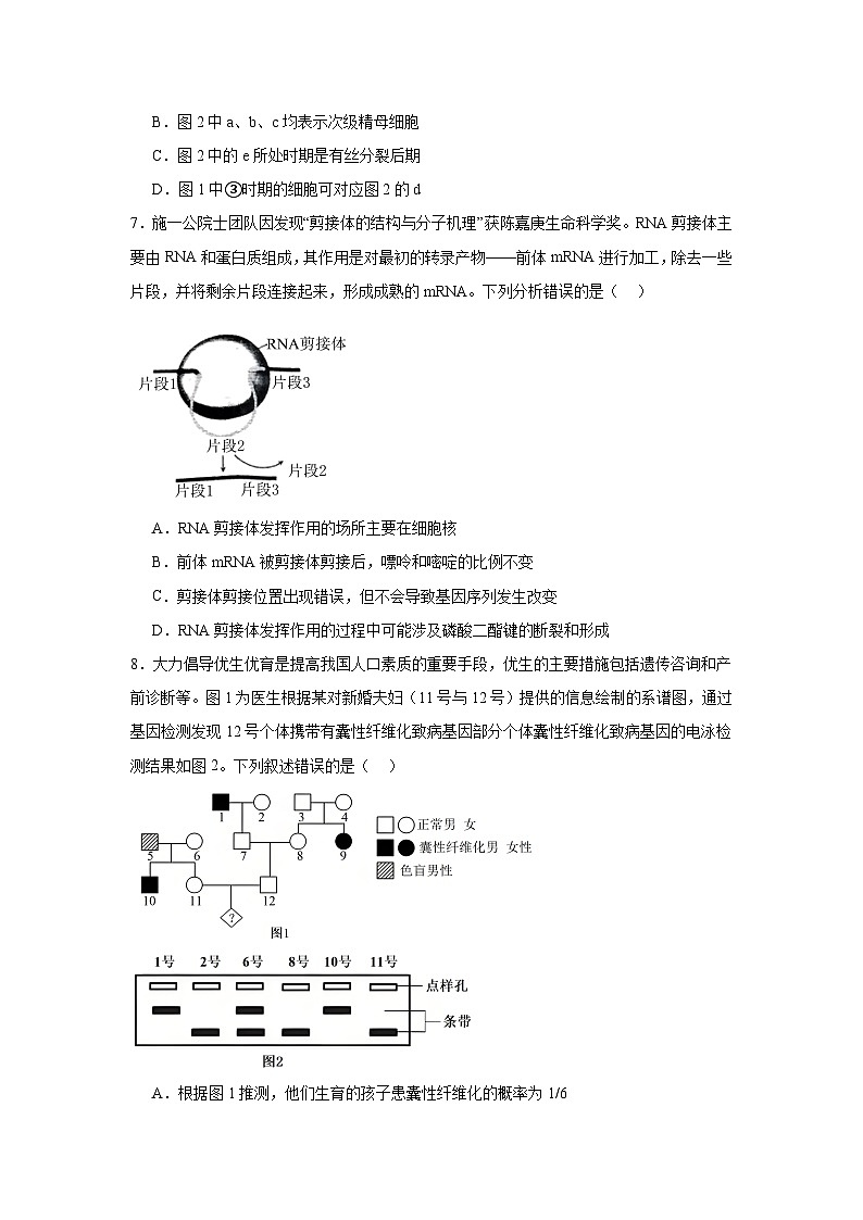 2025届陕西省渭南市高三一模生物试题第3页