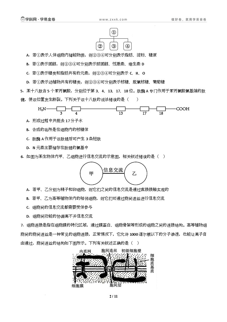 高一生物开学摸底考01（人教版2019）-2024-2025学年高中下学期开学摸底考试卷 高一生物开学摸底考（人教版2019）01（考试版）第2页