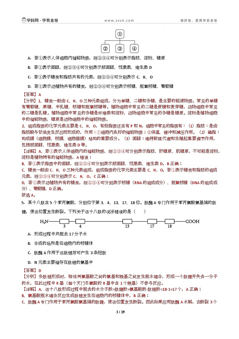 高一生物开学摸底考01（人教版2019）-2024-2025学年高中下学期开学摸底考试卷 高一生物开学摸底考（人教版2019）01（全解全析）第3页
