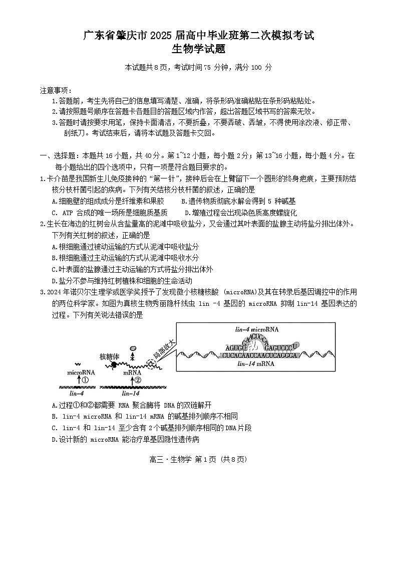 广东省肇庆市2025届高三上学期第二次模拟考试暨汕尾期末考试  生物  Word版含答案第1页