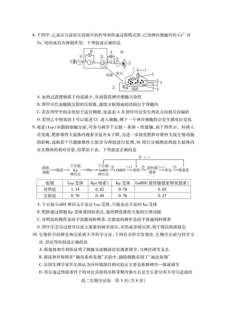 湖北省2024-2025学年高二上学期期末考试生物试卷（PDF版附答案）第3页
