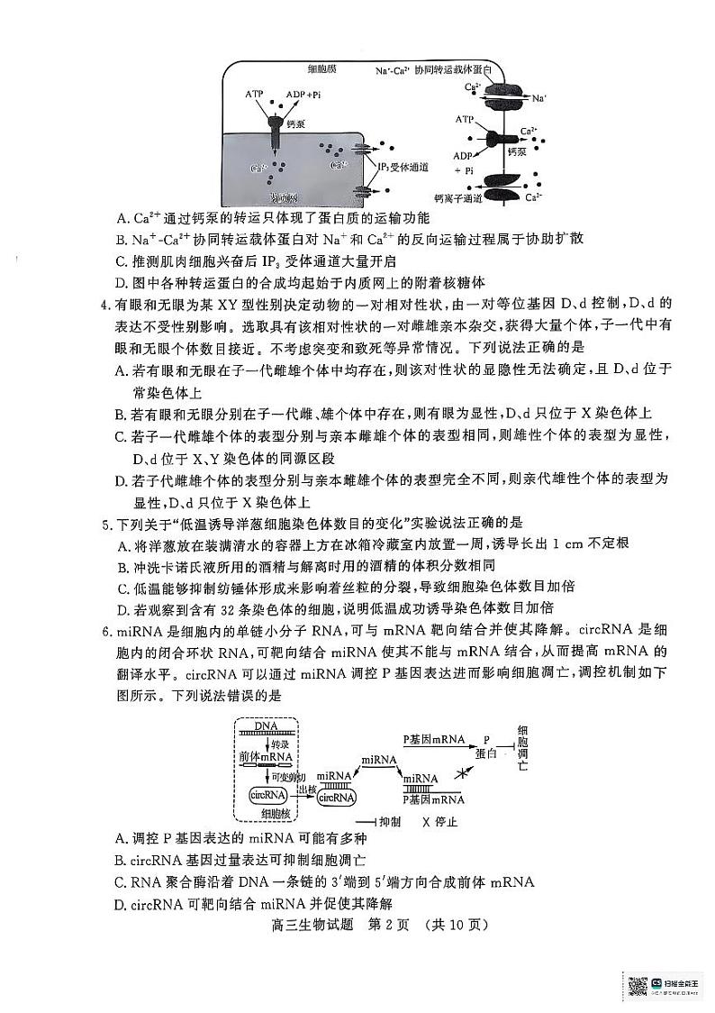 生物1第2页