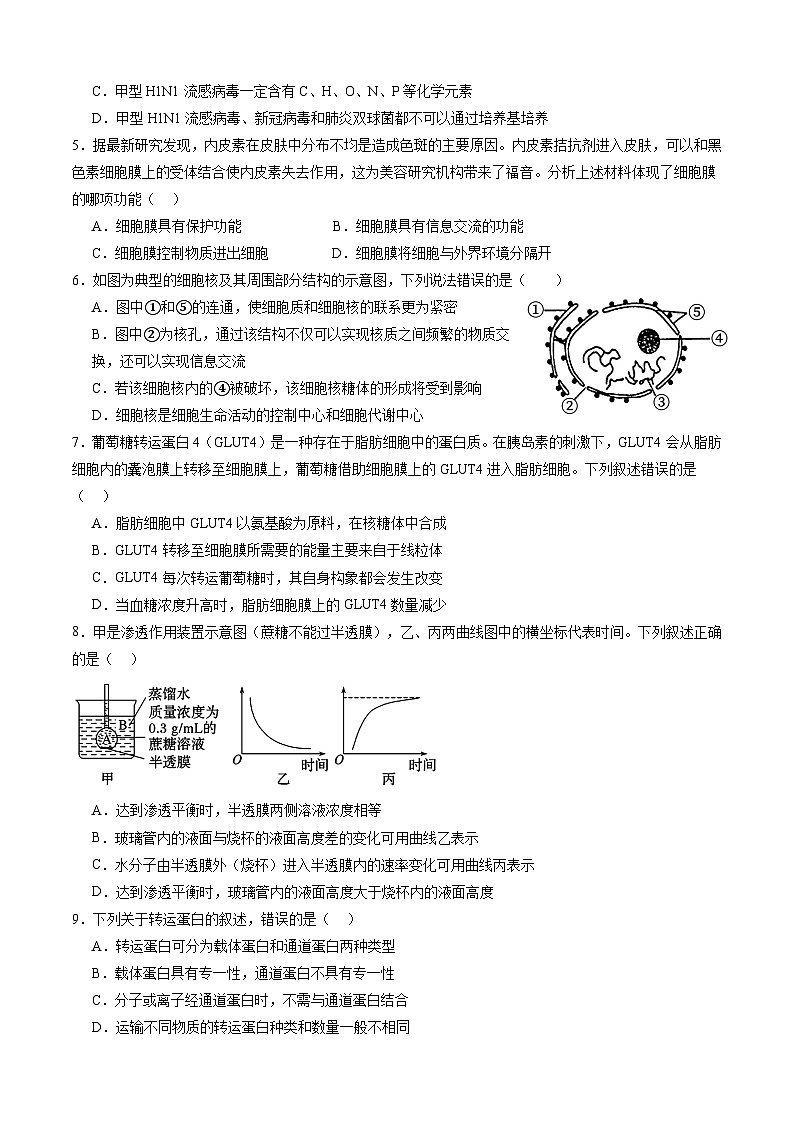 四川省成都市邛崃市第一中学2024-2025学年高一上学期1月期末生物试卷（Word版附答案）第2页