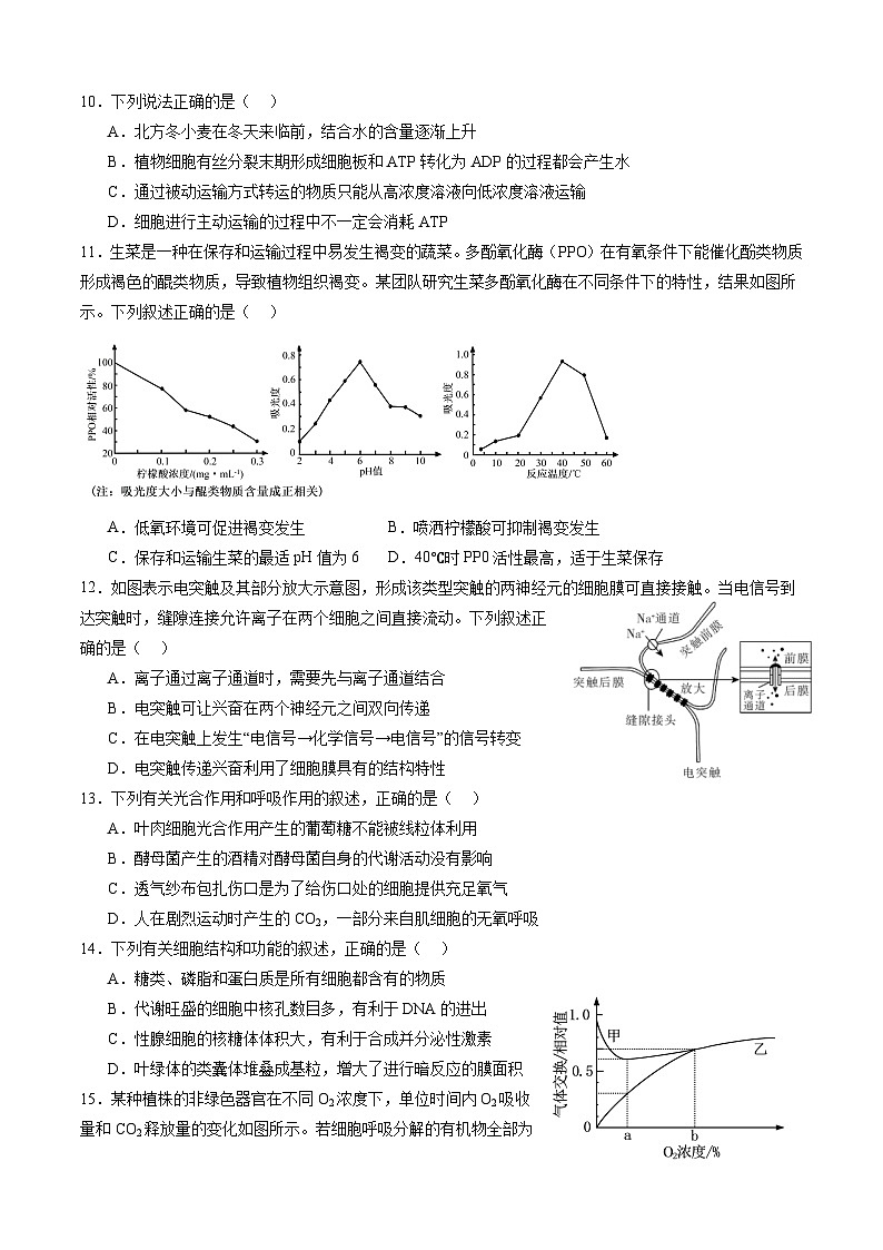 四川省成都市邛崃市第一中学2024-2025学年高一上学期1月期末生物试卷（Word版附答案）第3页