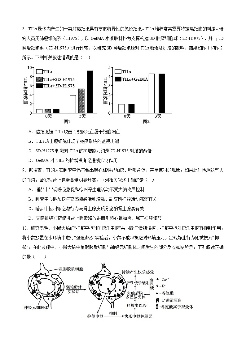 四川省泸州市老窖天府中学2024-2025学年高二上学期1月期末生物试卷（Word版附答案）第3页