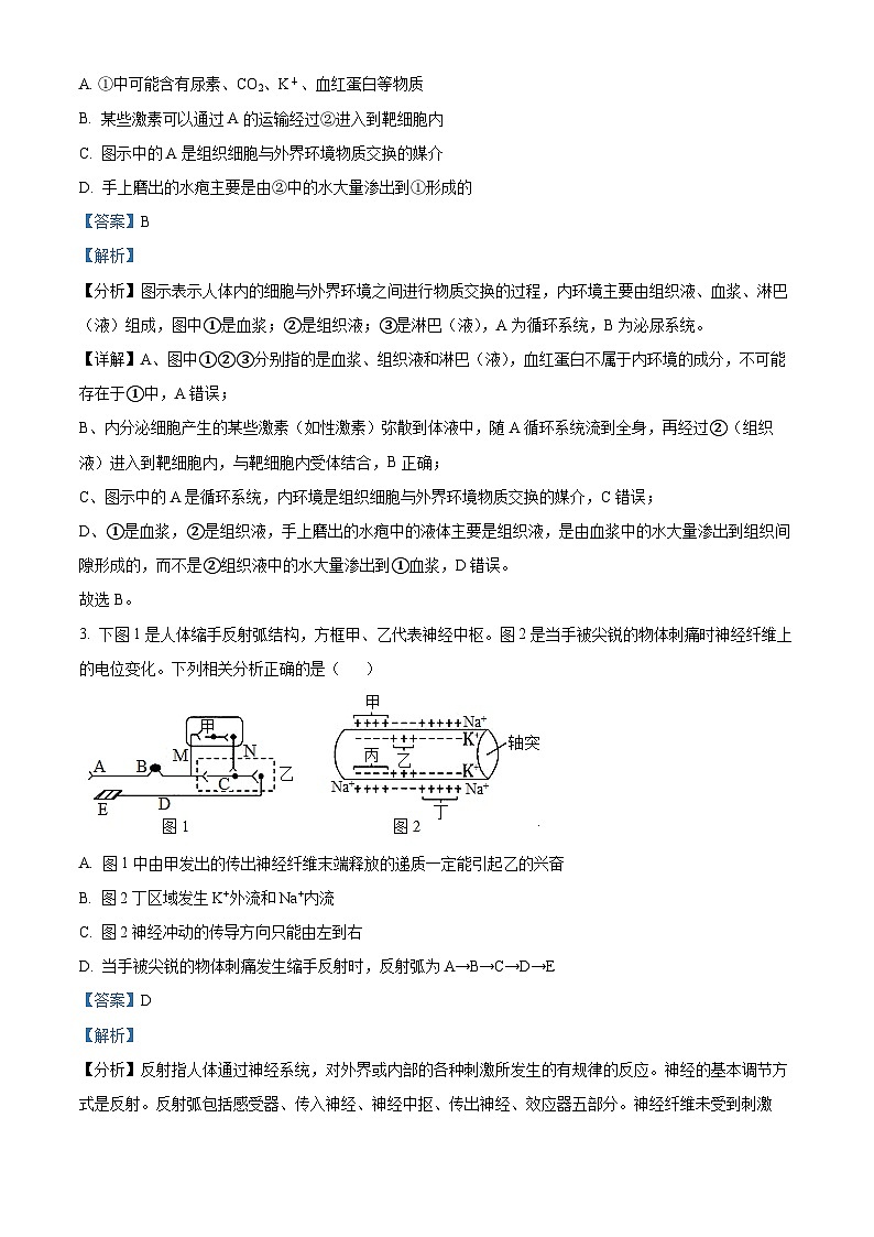 四川省泸州市泸县第二中学2024-2025学年高二上学期1月期末生物试卷（Word版附解析）第2页