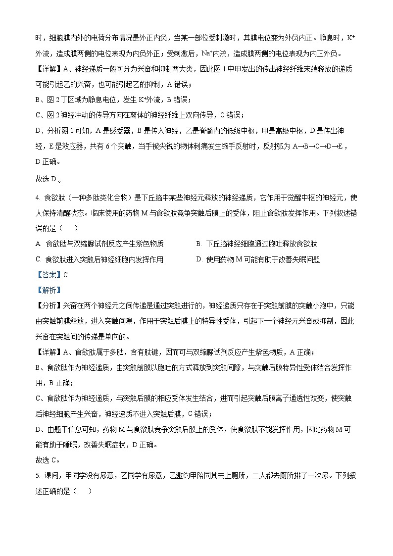 四川省泸州市泸县第二中学2024-2025学年高二上学期1月期末生物试卷（Word版附解析）第3页