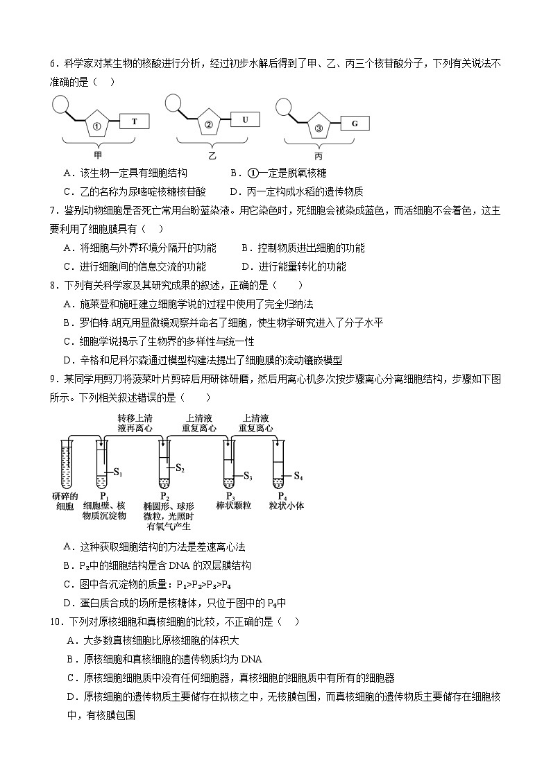 四川省泸州市泸州高级中学2024-2025学年高一上学期1月期末生物试卷（Word版附答案）第2页