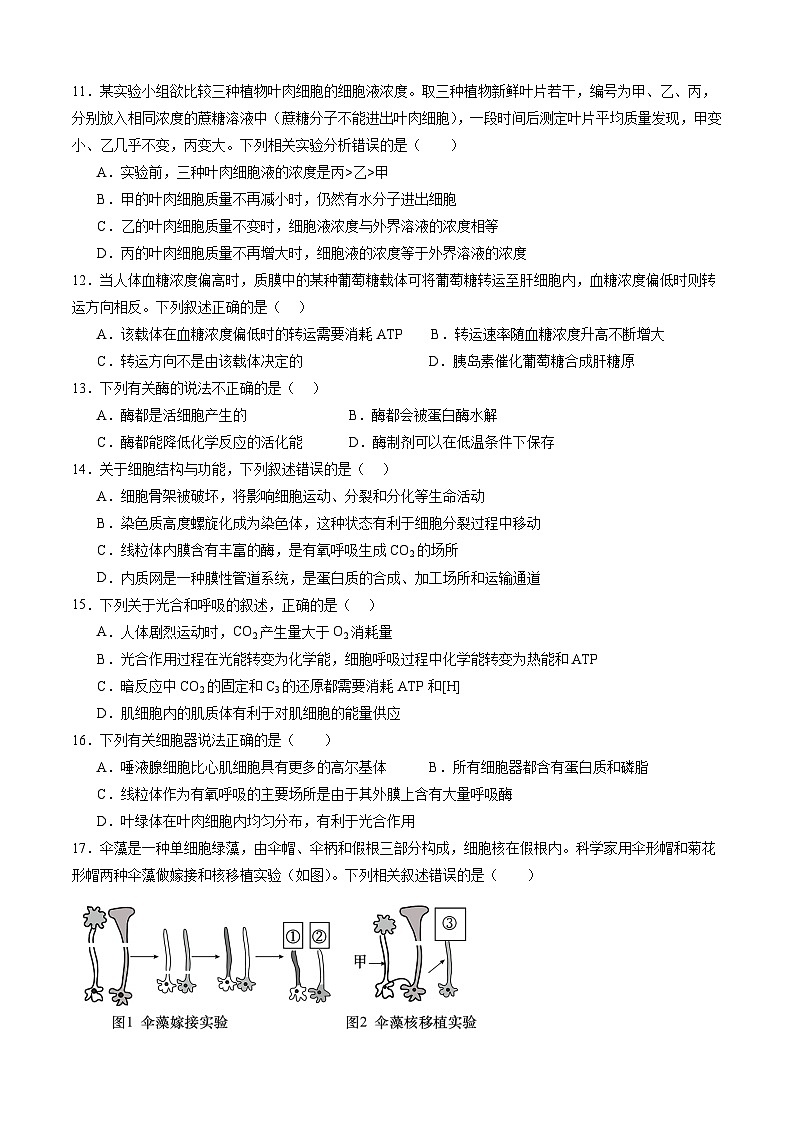 四川省泸州市泸州高级中学2024-2025学年高一上学期1月期末生物试卷（Word版附答案）第3页