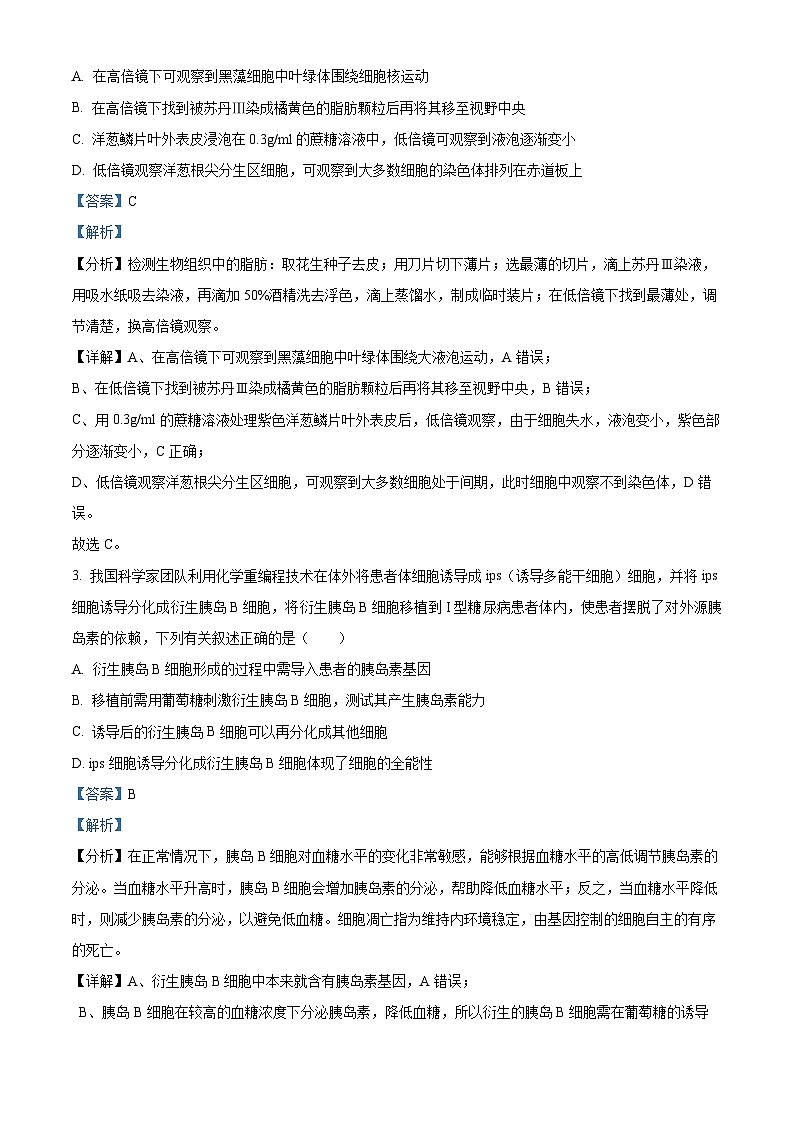 重庆市育才中学2024-2025学年高三上学期一诊模拟考试生物试卷（Word版附解析）第2页