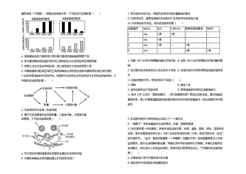 2025广东省建文教育集团两学部高三上学期1月第二次模拟考试生物含解析第2页