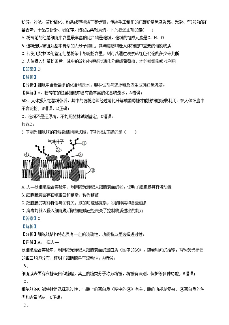 广东省阳江市高新区2024-2025学年高二上学期1月期末生物试题含解析第2页