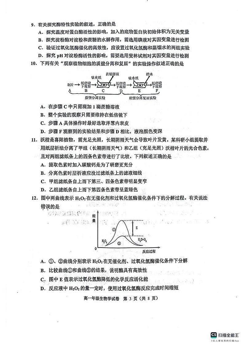 2024-2025年天津河西区高一年级上期末——生物试卷第3页