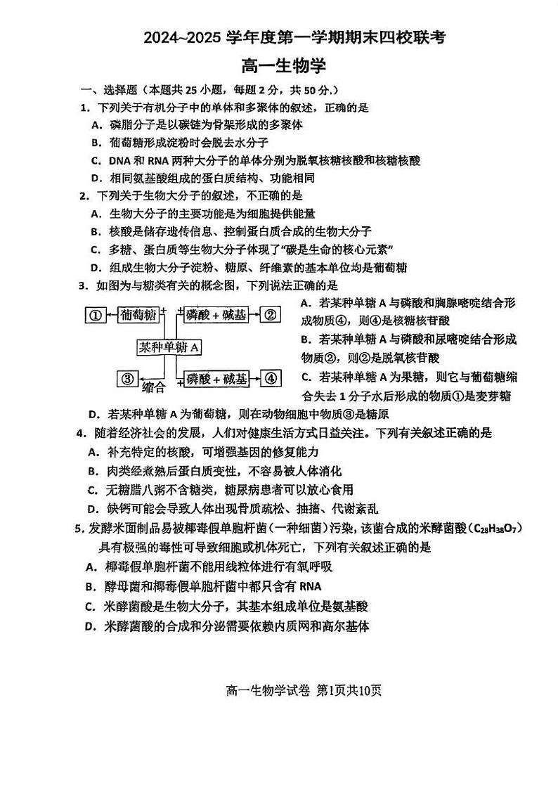 2024-2025年天津市四校联考高一上期末——生物试卷第1页