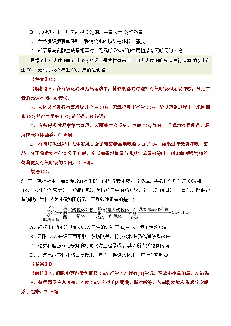 【消灭易错】光合与呼吸综合易错（解析版）（4大题组）-备战2025年高考生物考试易错题（新高考通用）第3页