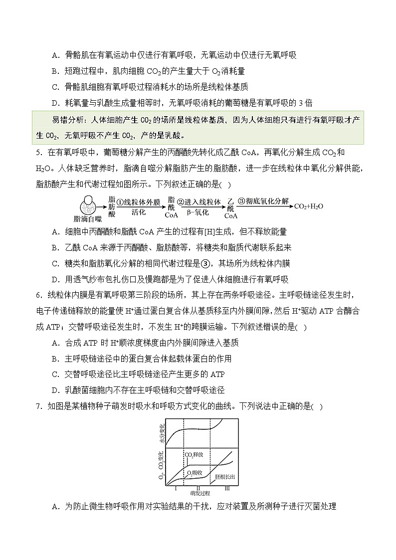 【消灭易错】光合与呼吸综合易错（原卷版）（4大题组）-备战2025年高考生物考试易错题（新高考通用）第2页