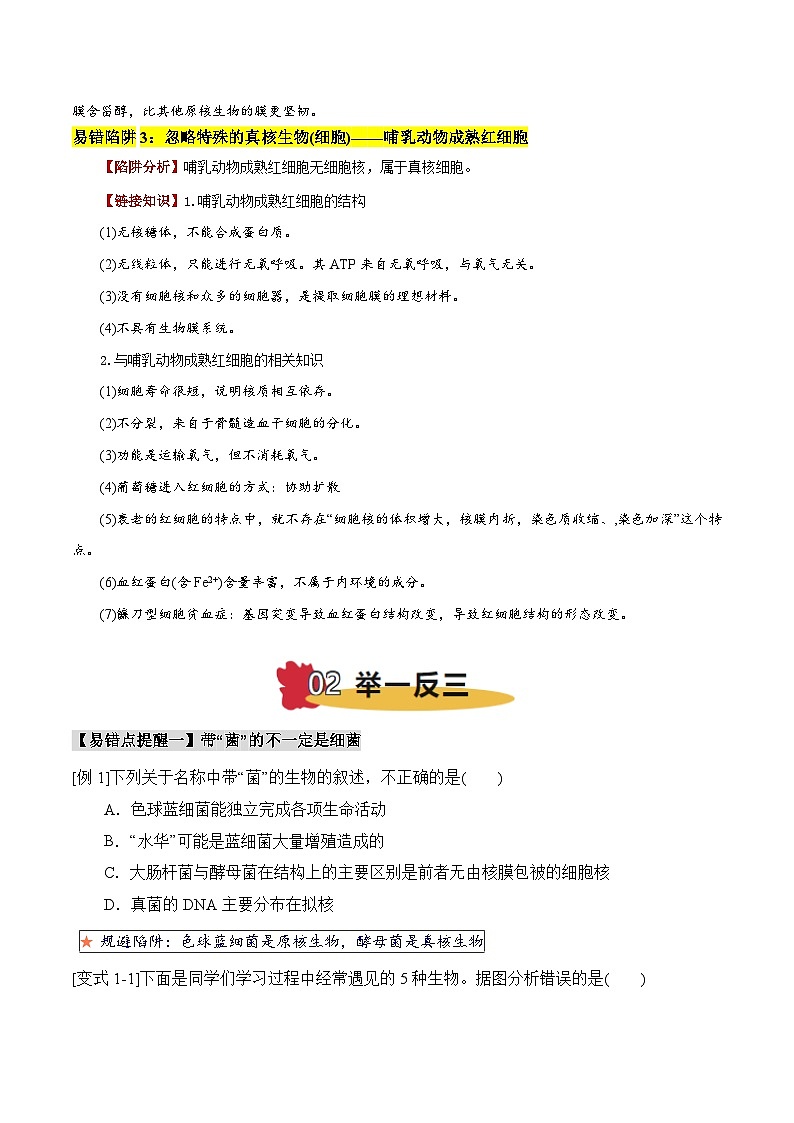 易错点01 真核生物和原核生物的辨析（3大陷阱）（原卷版）-备战2025年高考生物考试易错题（新高考通用）第2页