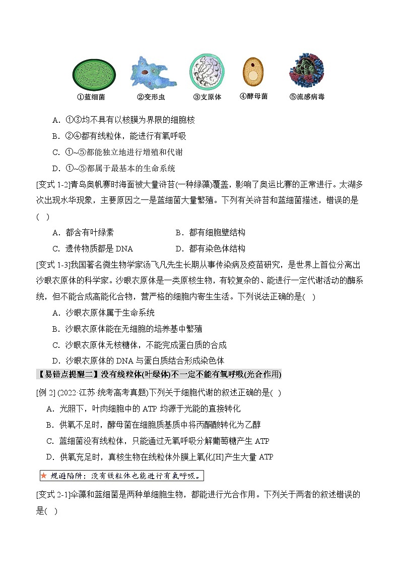 易错点01 真核生物和原核生物的辨析（3大陷阱）（原卷版）-备战2025年高考生物考试易错题（新高考通用）第3页