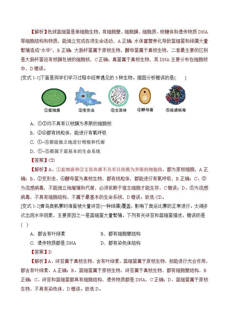 易错点01 真核生物和原核生物的辨析（3大陷阱）（解析版）-备战2025年高考生物考试易错题（新高考通用）第3页