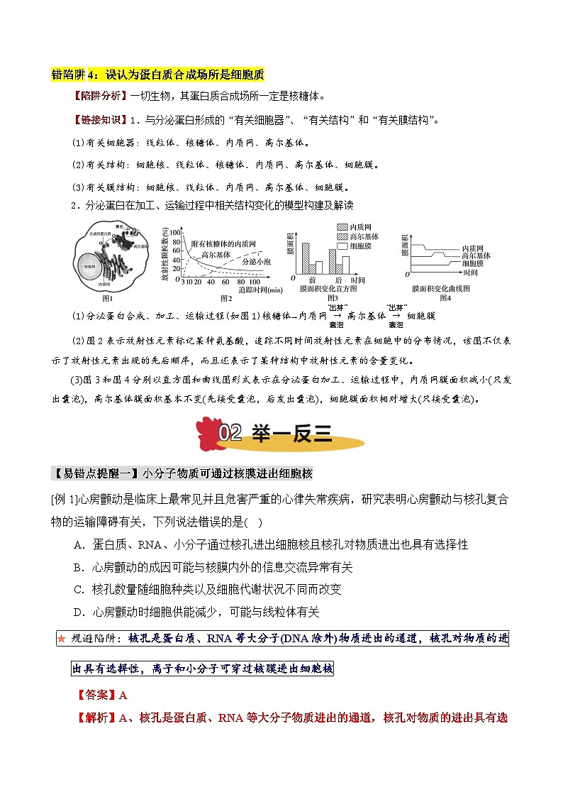 易错点03 细胞器结构与功能的易错比较（4大陷阱）（解析版）-备战2025年高考生物考试易错题（新高考通用）第3页