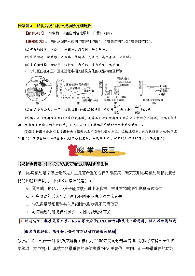 易错点03 细胞器结构与功能的易错比较（4大陷阱）（原卷版）-备战2025年高考生物考试易错题（新高考通用）第3页
