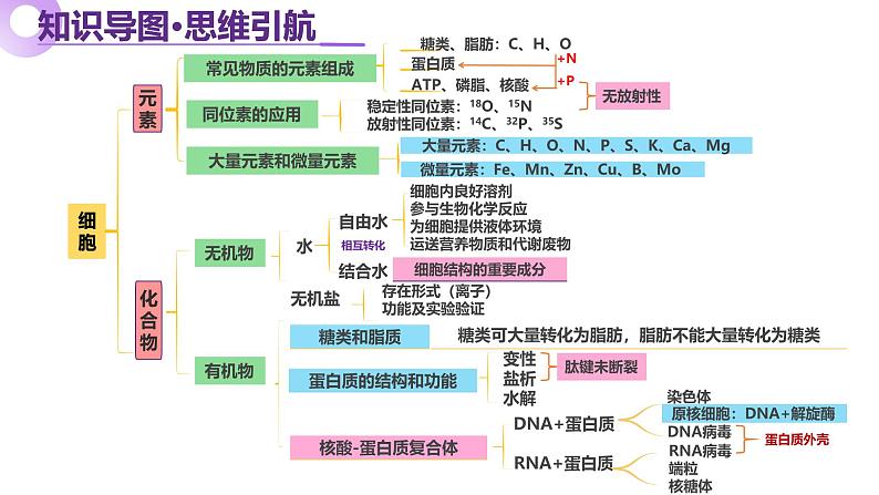 第01讲 细胞中的元素和化合物（上课课件）-2025年高考生物二轮复习（新高考通用）第5页