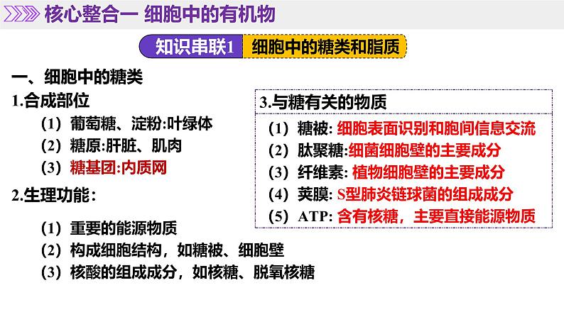 第01讲 细胞中的元素和化合物（上课课件）-2025年高考生物二轮复习（新高考通用）第7页