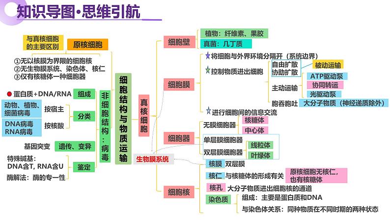 第02讲 细胞的基本结构、功能与物质进出细胞的方式（上课课件）-2025年高考生物二轮复习（新高考通用）第5页