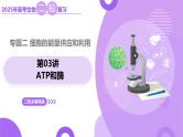 第03讲 ATP和酶（上课课件）-2025年高考生物二轮复习（新高考通用）