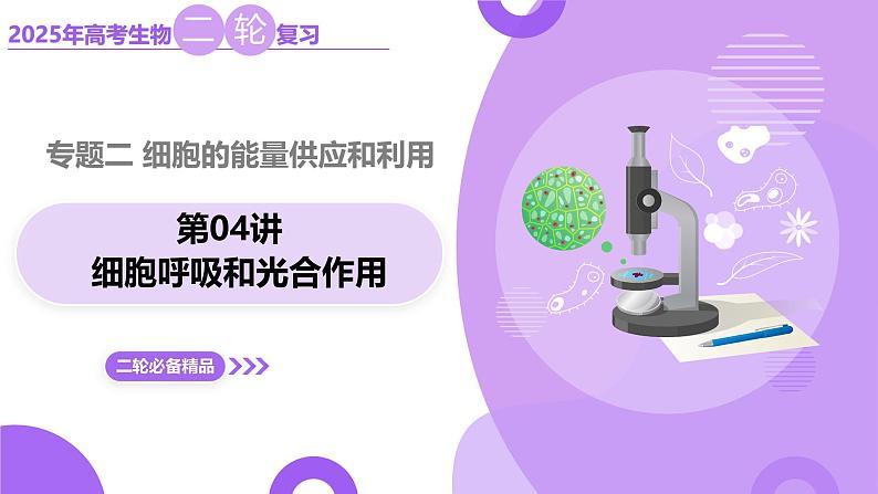 第04讲 细胞呼吸和光合作用（上课课件）-2025年高考生物二轮复习（新高考通用）第1页