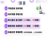 第04讲 细胞呼吸和光合作用（上课课件）-2025年高考生物二轮复习（新高考通用）