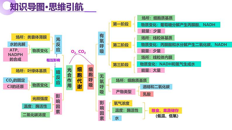 第04讲 细胞呼吸和光合作用（上课课件）-2025年高考生物二轮复习（新高考通用）第5页