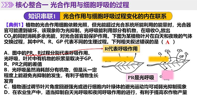 第04讲 细胞呼吸和光合作用（上课课件）-2025年高考生物二轮复习（新高考通用）第8页