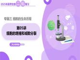 第05讲 细胞的增殖和减数分裂（上课课件）-2025年高考生物二轮复习（新高考通用）